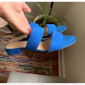 Royal Blue Suede Kitten Heels
